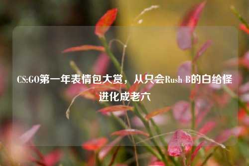 CS:GO第一年表情包大赏，从只会Rush B的白给怪进化成老六