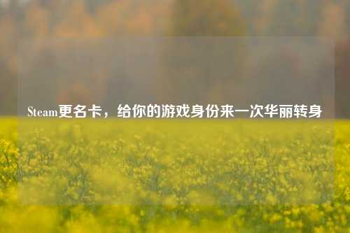 Steam更名卡，给你的游戏身份来一次华丽转身