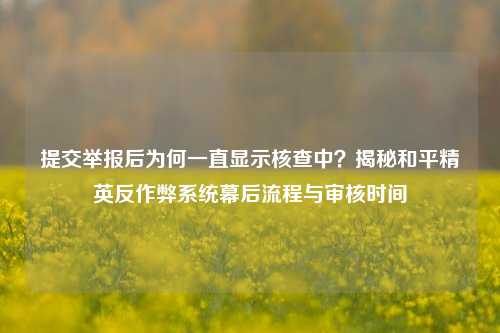 提交举报后为何一直显示核查中？揭秘和平精英反作弊系统幕后流程与审核时间