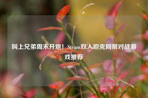 叫上兄弟周末开炮！Steam双人坦克同屏对战游戏推荐