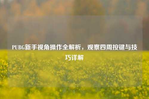 PUBG新手视角操作全解析，观察四周按键与技巧详解