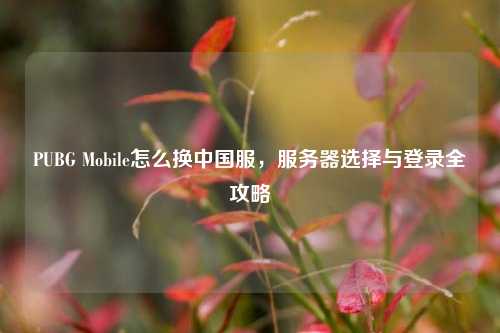PUBG Mobile怎么换中国服，服务器选择与登录全攻略