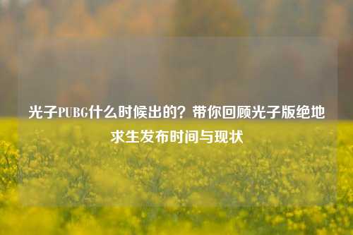 光子PUBG什么时候出的?带你回顾光子版绝地求生发布时间与现状