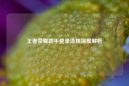 王者荣耀助手登录流程深度解析