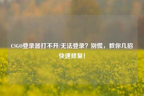 CSGO登录器打不开/无法登录？别慌，教你几招快速修复！