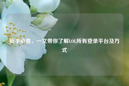 新手必看，一文带你了解LOL所有登录平台及方式