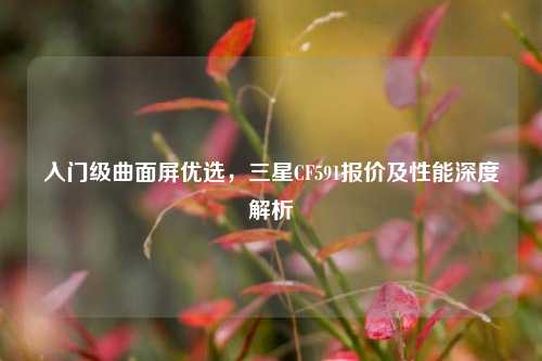 入门级曲面屏优选,三星CF591报价及性能深度解析