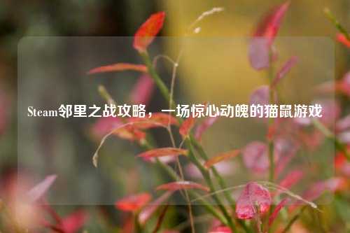 Steam邻里之战攻略,一场惊心动魄的猫鼠游戏