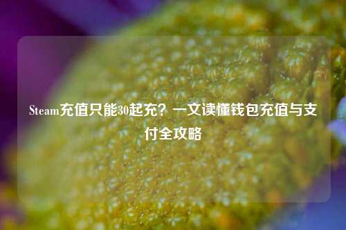 Steam充值只能30起充?一文读懂钱包充值与支付全攻略