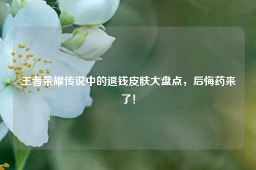 王者荣耀传说中的退钱皮肤大盘点,后悔药来了!