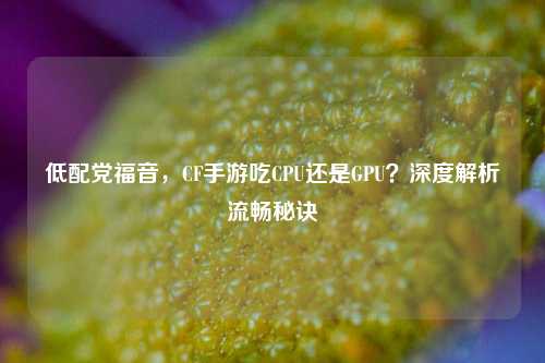 低配党福音,CF手游吃CPU还是GPU?深度解析流畅秘诀