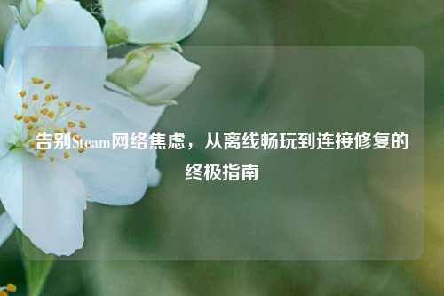 告别Steam网络焦虑,从离线畅玩到连接修复的终极指南