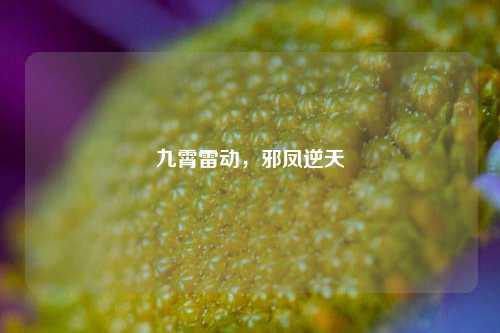 九霄雷动,邪凤逆天