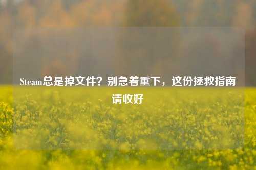 Steam总是掉文件?别急着重下,这份拯救指南请收好