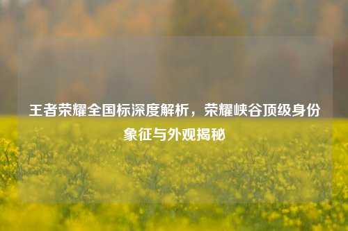 王者荣耀全国标深度解析,荣耀峡谷顶级身份象征与外观揭秘