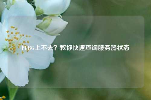PUBG上不去?教你快速查询服务器状态