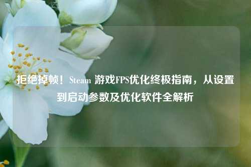 拒绝掉帧!Steam 游戏FPS优化终极指南,从设置到启动参数及优化软件全解析