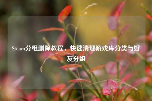 Steam分组删除教程,快速清理游戏库分类与好友分组