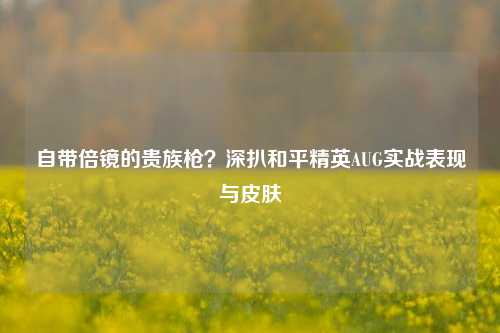 自带倍镜的贵族枪?深扒和平精英AUG实战表现与皮肤