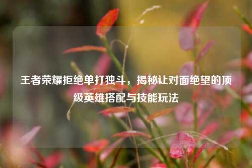 王者荣耀拒绝单打独斗,揭秘让对面绝望的顶级英雄搭配与技能玩法