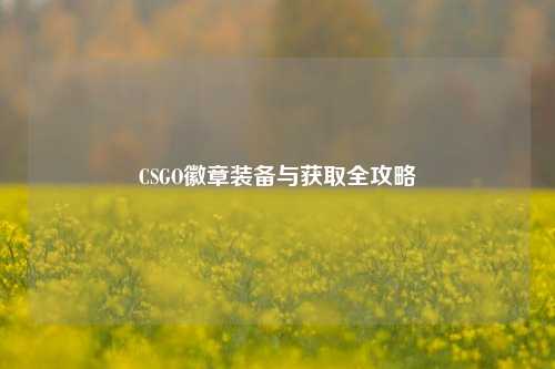 CSGO徽章装备与获取全攻略