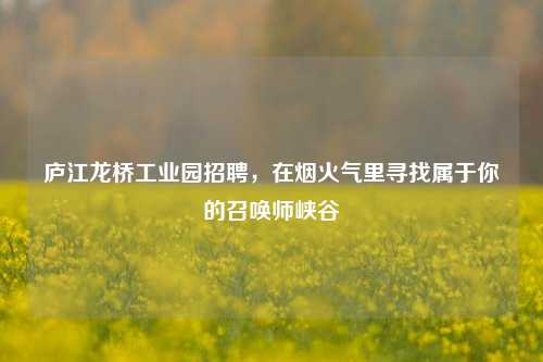 庐江龙桥工业园招聘,在烟火气里寻找属于你的召唤师峡谷