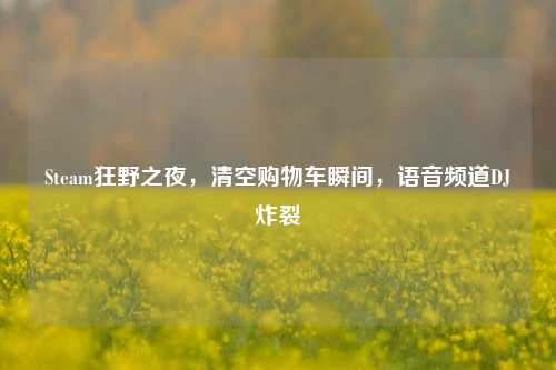 Steam狂野之夜,清空购物车瞬间,语音频道DJ炸裂
