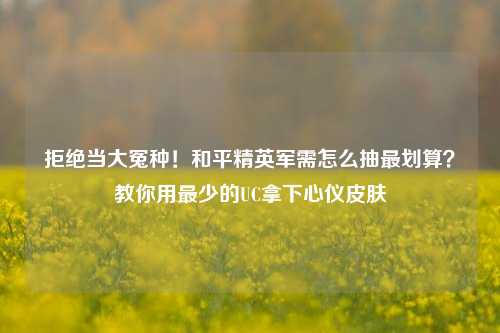 拒绝当大冤种!和平精英军需怎么抽最划算?教你用最少的UC拿下心仪皮肤