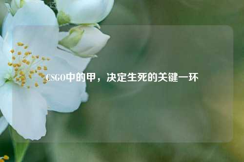 CSGO中的甲,决定生死的关键一环