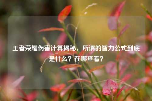 王者荣耀伤害计算揭秘,所谓的智力公式到底是什么?在哪查看?