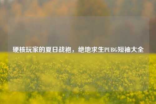 硬核玩家的夏日战袍,绝地求生PUBG短袖大全