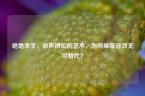 绝地求生,听声辨位的艺术,为何原版音效无可替代?