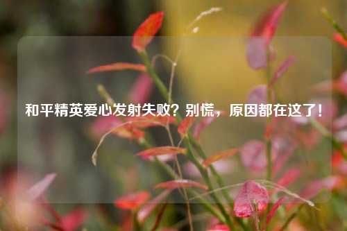 和平精英爱心发射失败?别慌,原因都在这了!