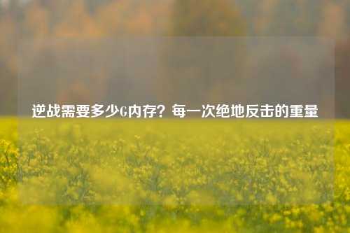 逆战需要多少G内存?每一次绝地反击的重量