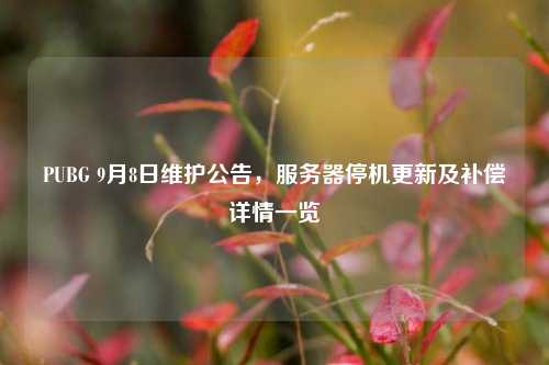 PUBG 9月8日维护公告,服务器停机更新及补偿详情一览