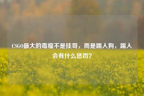 CSGO最大的毒瘤不是挂哥,而是踢人狗,踢人会有什么惩罚?