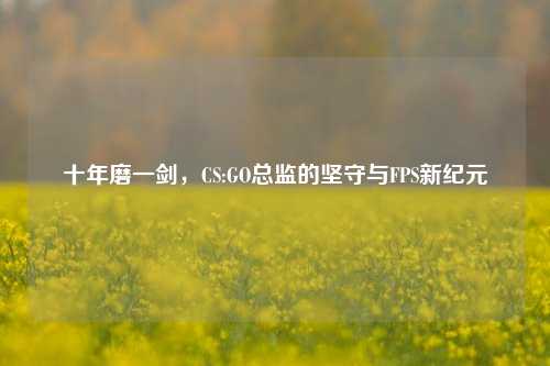 十年磨一剑,CS:GO总监的坚守与FPS新纪元