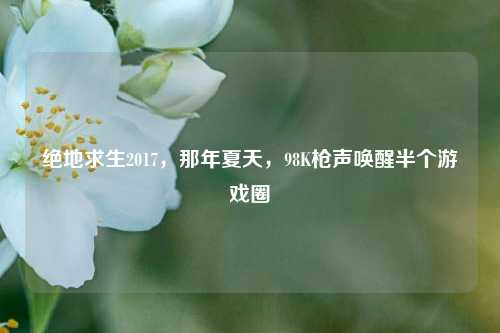 绝地求生2017,那年夏天,98K枪声唤醒半个游戏圈