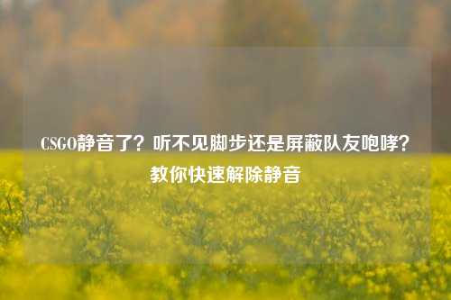 CSGO静音了?听不见脚步还是屏蔽队友咆哮?教你快速解除静音