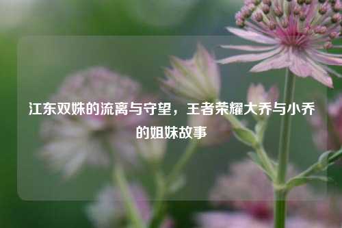 江东双姝的流离与守望,王者荣耀大乔与小乔的姐妹故事