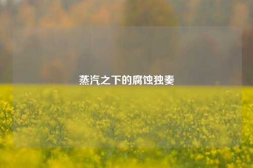 蒸汽之下的腐蚀独奏