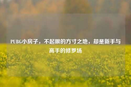 PUBG小房子,不起眼的方寸之地,却是新手与高手的修罗场