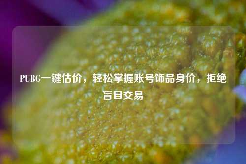 PUBG一键估价,轻松掌握账号饰品身价,拒绝盲目交易