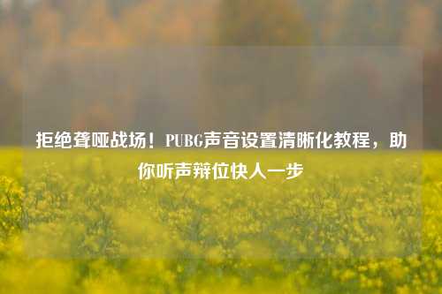 拒绝聋哑战场!PUBG声音设置清晰化教程,助你听声辩位快人一步
