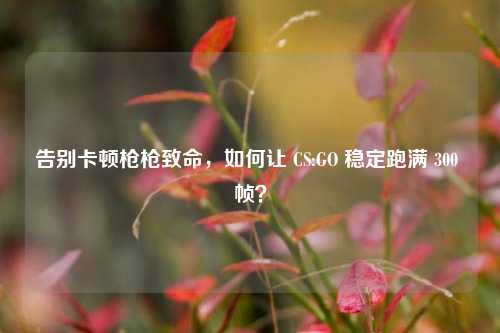 告别卡顿枪枪致命,如何让 CS:GO 稳定跑满 300 帧?