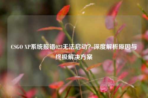 CSGO XP系统报错023无法启动?深度解析原因与终极解决方案
