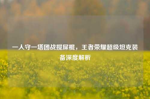一人守一塔团战搅屎棍,王者荣耀超级坦克装备深度解析