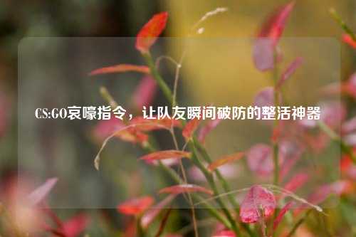 CS:GO哀嚎指令,让队友瞬间破防的整活神器