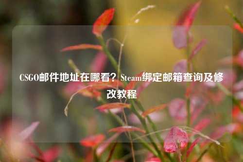 CSGO邮件地址在哪看?Steam绑定邮箱查询及修改教程