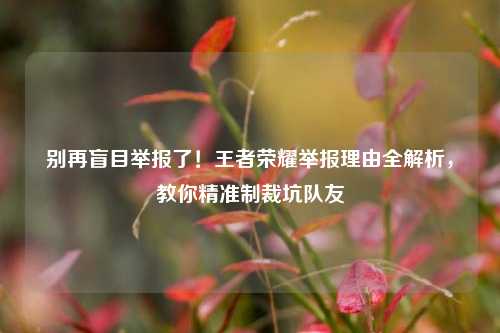 别再盲目举报了!王者荣耀举报理由全解析,教你精准制裁坑队友